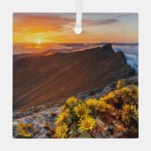 Blumen | Kanarische Inseln, Spanien Ornament Aus Glas (Rückseite)