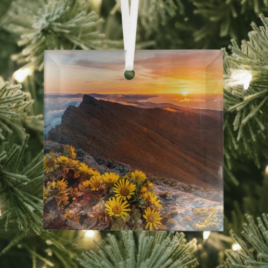 Blumen | Kanarische Inseln, Spanien Ornament Aus Glas (Insitu)