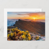 Blumen | Kanarische Inseln, Spanien Postkarte (Vorne/Hinten)