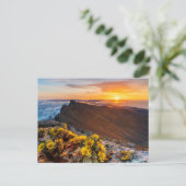 Blumen | Kanarische Inseln, Spanien Postkarte (Stehend Vorderseite)