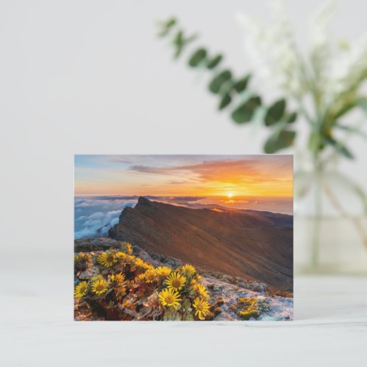 Blumen | Kanarische Inseln, Spanien Postkarte (Stehend Vorderseite)