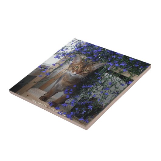 Blumen-Katze Fliese (Seite)