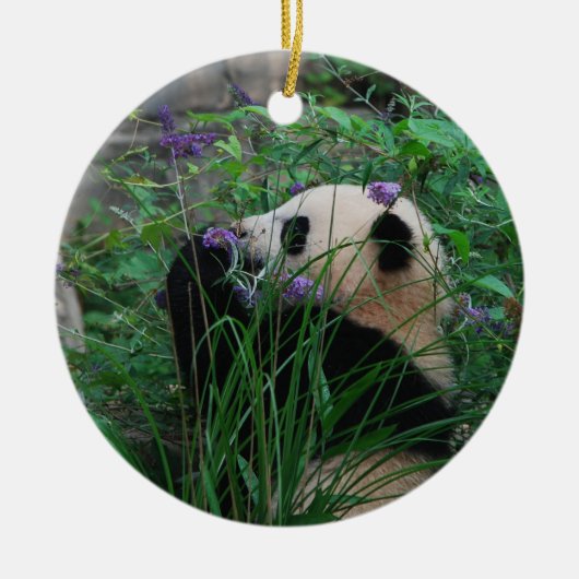Blumen-KindBao Bao riesiger Panda CUB verzieren Keramikornament (Vorne)