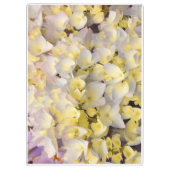 Blumen Klemmbrett (Rückseite)