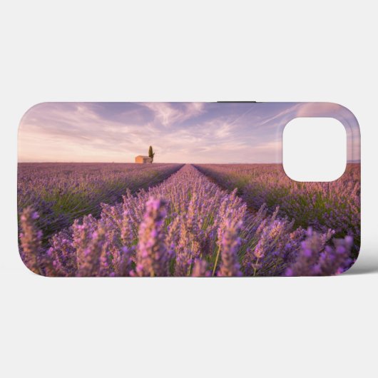 Blumen | Lavendel Südfrankreich Case-Mate iPhone Hülle (Rückseite (Horizontal))