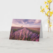 Blumen | Lavendel Südfrankreich Karte (Gelbe Blume)