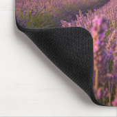 Blumen | Lavendel Südfrankreich Mousepad (Ecke)