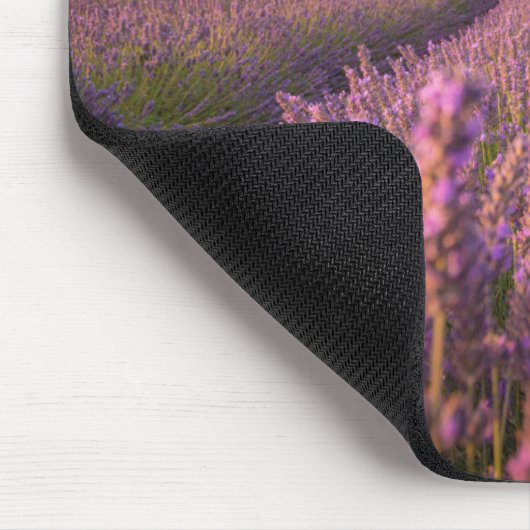 Blumen | Lavendel Südfrankreich Mousepad (Ecke)