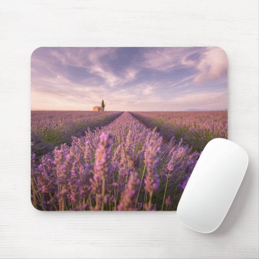 Blumen | Lavendel Südfrankreich Mousepad (Mit Mouse)