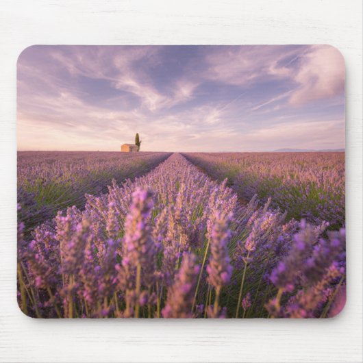 Blumen | Lavendel Südfrankreich Mousepad (Vorne)