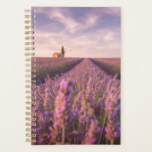 Blumen | Lavendel Südfrankreich Planer (Vorderseite)