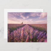 Blumen | Lavendel Südfrankreich Postkarte (Vorne/Hinten)
