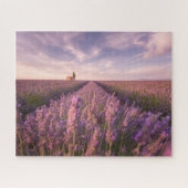 Blumen | Lavendel Südfrankreich Puzzle (Horizontal)