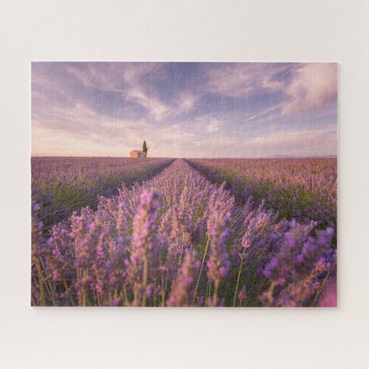 Blumen | Lavendel Südfrankreich Puzzle (Horizontal)