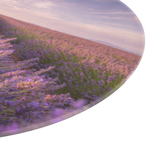 Blumen | Lavendel Südfrankreich Schneidebrett (Ecke)