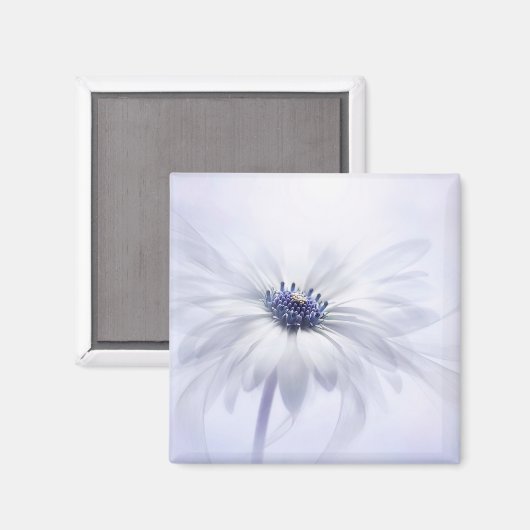 Blumen | LILA BLUME Magnet (Vorderseite/Rückseite)