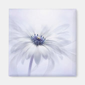 Blumen | LILA BLUME Magnet (Vorne)