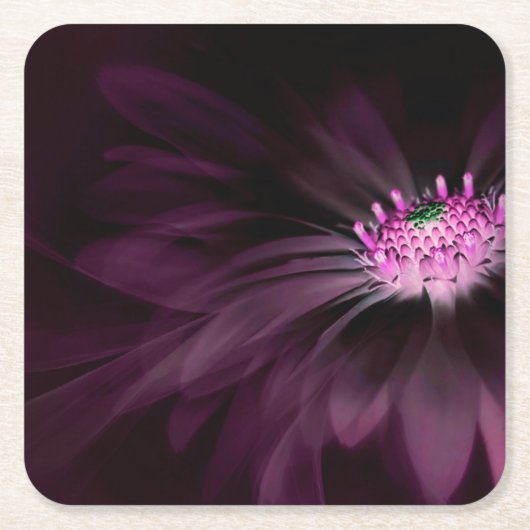 Blumen | Lila Daisy Rechteckiger Pappuntersetzer (Vorderseite)