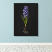 Blumen | Lila Hyacinth Bulb Leinwanddruck (Insitu (Holzboden))