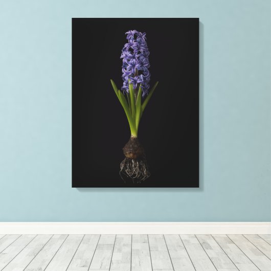 Blumen | Lila Hyacinth Bulb Leinwanddruck (Insitu (Holzboden))