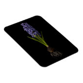 Blumen | Lila Hyacinth Bulb Magnet (Rechte Seite)