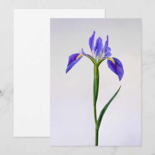 Blumen | Lila Iris-Blume Dankeskarte (Vorne/Hinten)