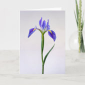 Blumen | Lila Iris-Blume Karte (Vorderseite)