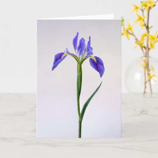 Blumen | Lila Iris-Blume Karte (Gelbe Blume)