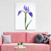 Blumen | Lila Iris-Blume Leinwanddruck (Insitu (Wohnzimmer))