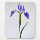 Blumen | Lila Iris-Blume Mousepad (Vorne)