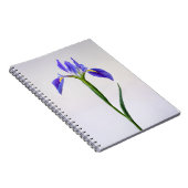 Blumen | Lila Iris-Blume Notizblock (Rechte Seite)