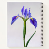 Blumen | Lila Iris-Blume Notizblock (Rückseite)