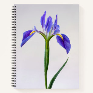 Blumen Lila Iris-Blume Notizblock