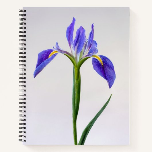 Blumen | Lila Iris-Blume Notizblock (Vorderseite)