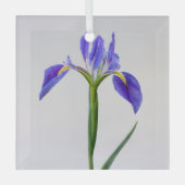 Blumen | Lila Iris-Blume Ornament Aus Glas (Vorderseite)