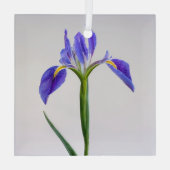 Blumen | Lila Iris-Blume Ornament Aus Glas (Rückseite)