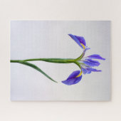 Blumen | Lila Iris-Blume Puzzle (Horizontal)