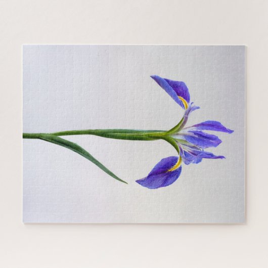 Blumen | Lila Iris-Blume Puzzle (Horizontal)