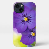 Blumen | LILA STIEFMÜTTERCHEN iPhone Hülle (Rückseite)