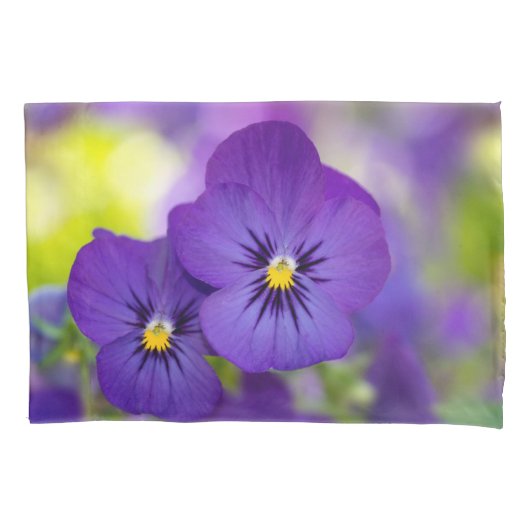 Blumen | LILA STIEFMÜTTERCHEN Kissenbezug (Vorderseite)
