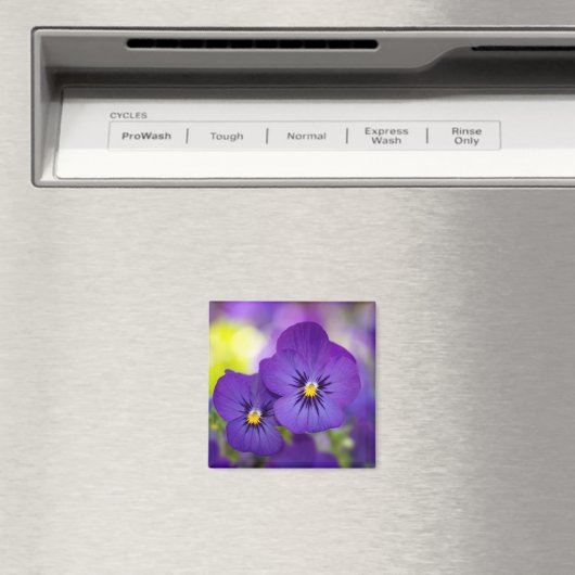 Blumen | LILA STIEFMÜTTERCHEN Magnet (In Situ (Geschirrspüler))