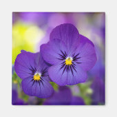 Blumen | LILA STIEFMÜTTERCHEN Magnet (Vorne)