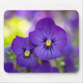Blumen | LILA STIEFMÜTTERCHEN Mousepad (Vorne)