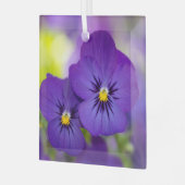 Blumen | LILA STIEFMÜTTERCHEN Ornament Aus Glas (Vorderseite links)