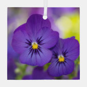 Blumen | LILA STIEFMÜTTERCHEN Ornament Aus Glas (Rückseite)