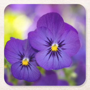 Blumen LILA STIEFMÜTTERCHEN Rechteckiger Pappuntersetzer