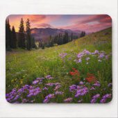 Blumen | Lila Wildblumen Colorado Mousepad (Vorne)