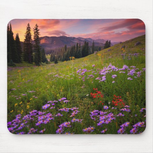 Blumen | Lila Wildblumen Colorado Mousepad (Vorne)