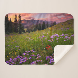 Blumen Lila Wildblumen Colorado Sherpadecke