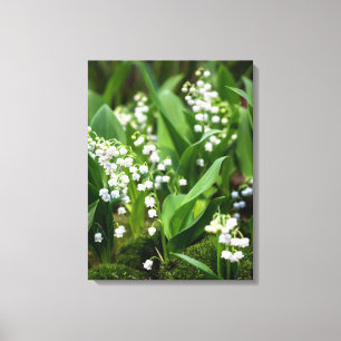Blumen   Lily of the Valley Schweden Leinwanddruck